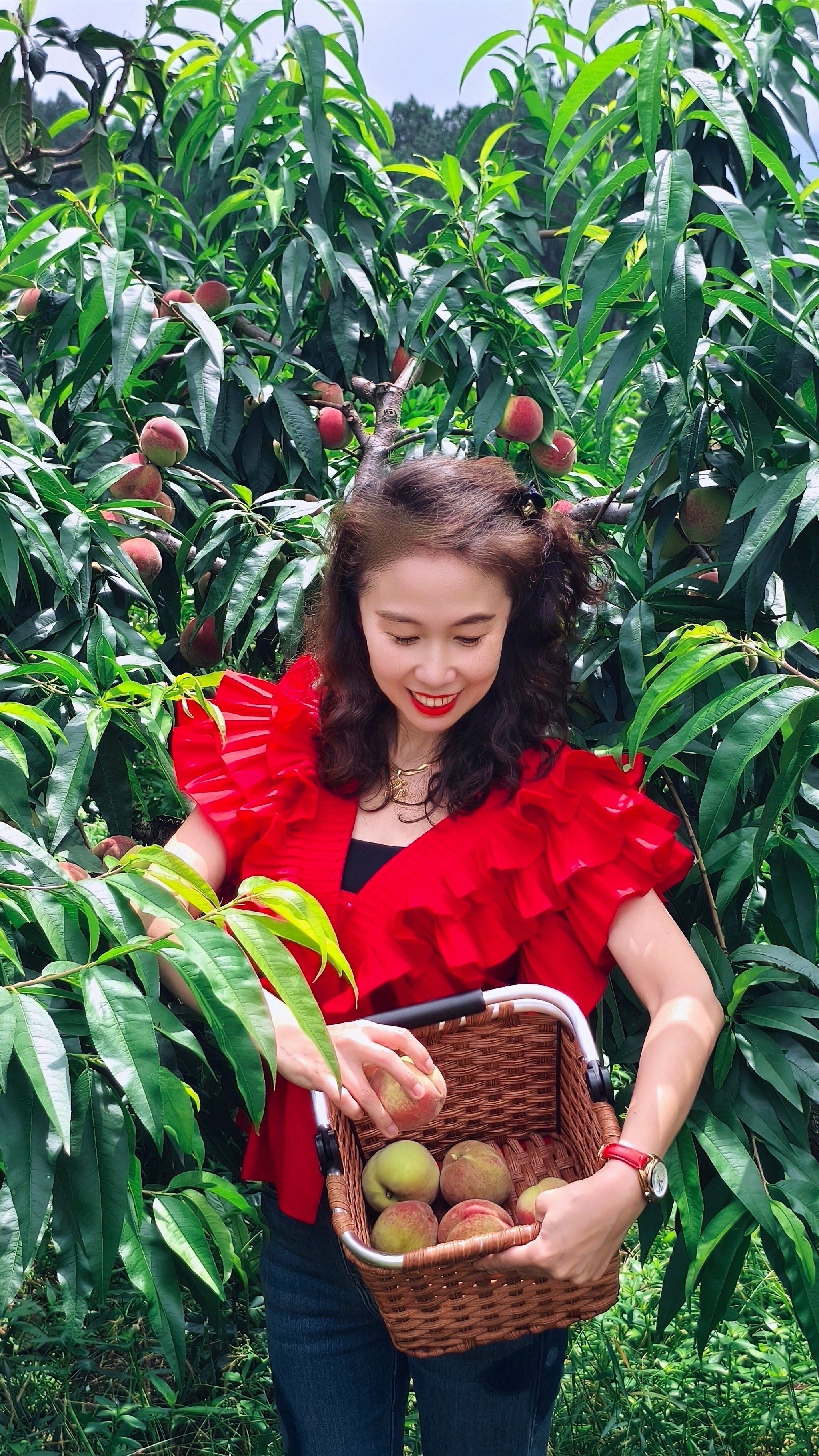 明媚果园采摘乐