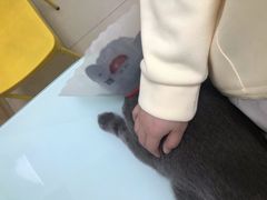 -宠福鑫康馨动物医院·骨科·眼科