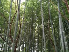 -苏州河梦清园环保主题公园