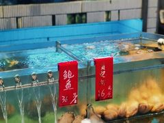 -禄婶鸡煲·打边炉