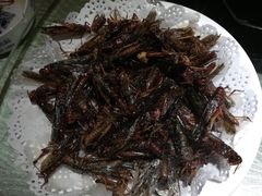 -关东大厨老三熏鹅(新石店)