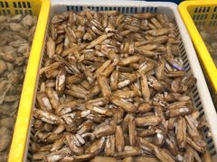 -星伦多自助料理(永旺店)