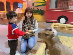 -顺德南宏海立方海洋公园