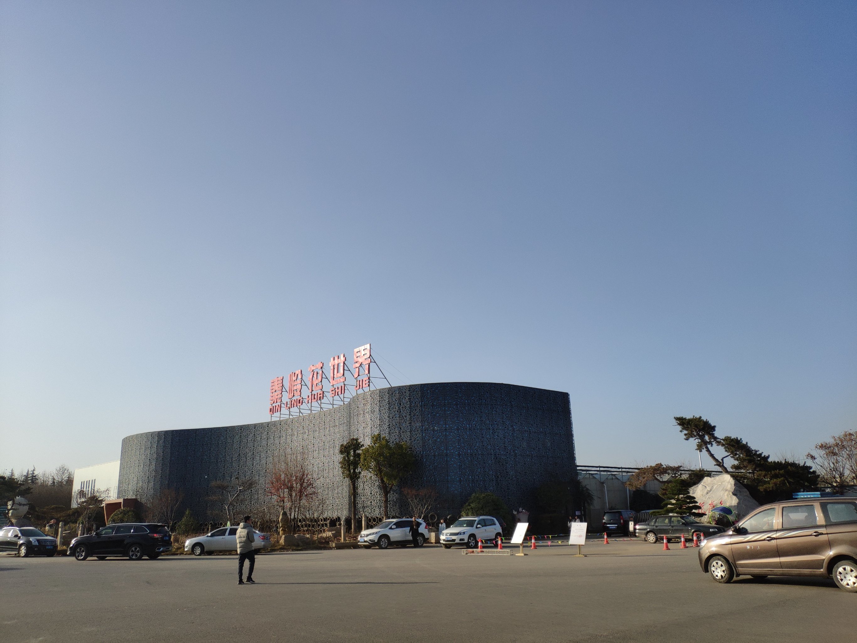 雁锦花卉市场拆了以后