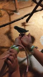 -酷嗒动物文化乐园(cutezoo西溪乐天城店)