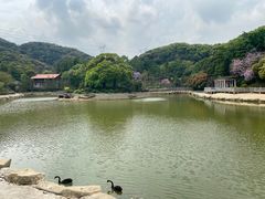 -广州市帽峰山景区