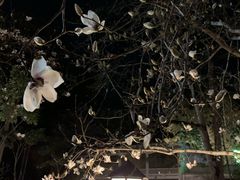 -广东温泉宾馆