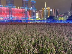 -海心沙亚运公园