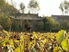 -渭南桃花源民俗文化园