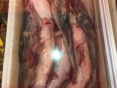 江团-王老六铁锅炖鱼(圣亚海洋店)