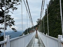 -塔云山