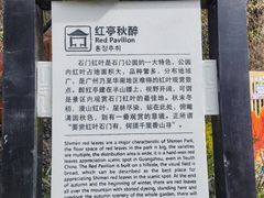 -广州市石门国家森林公园