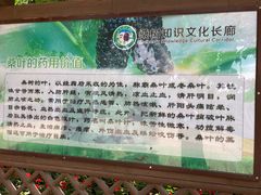 -御林古桑园