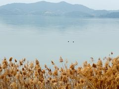 -四明湖