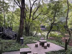 -白马涧龙池景区