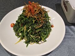 凉拌枸杞苗-红柳枝滩羊烧烤·非遗