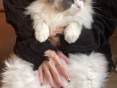 -MOCHA明星猫咖(田子坊店)
