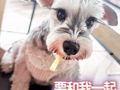 -派美特宠物医院·核磁CT·骨科肿瘤·疑难转诊(沈农禾丰店)