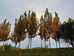 -瀛海足球主题公园