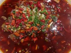 -庆合府重庆大排档(紫都城店)