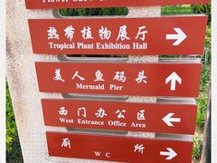 -石家庄市植物园