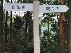 -火炉山森林公园