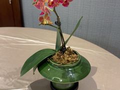 -聚福宝合苑食府(南头镇店)