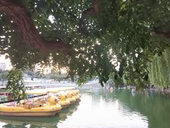 -团结湖公园