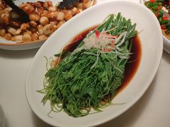 白灼瓜尖-初蓉丨遇见新川菜(亲贤街荣耀店)