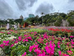 -九龙公园