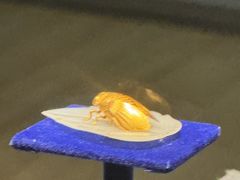 -金原鸭血粉丝汤·汤包·脆皮烤鸭(南京博物院店)