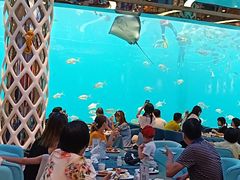 -瑞德姆美人鱼海底演艺主题餐厅(亚龙湾店)