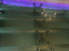 -厦门喜来登酒店