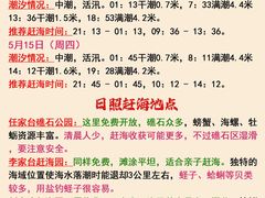 -日照灯塔风景区