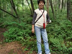 -五营红松林海景区