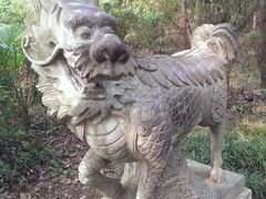 -白马涧龙池景区