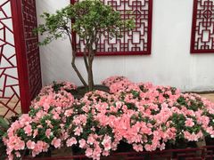 -共青国家森林公园-售票处