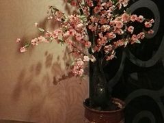 -逸鼎盛世轻奢SPA•泡澡(双碑店)