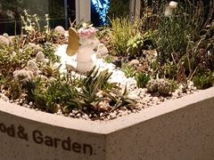 -春树下·树屋花房西餐厅(罍街AS1980店)