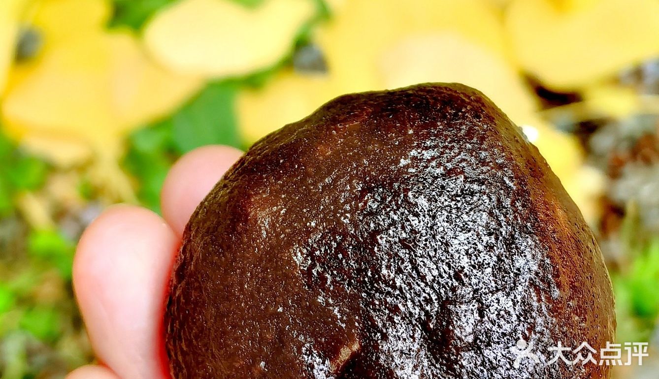 可可爱爱的巧克栗🌰