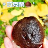 可可爱爱的巧克栗🌰