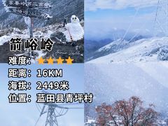 -朱雀国家森林公园