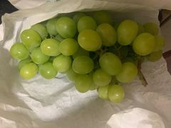 -白鹿原葡萄主题公园