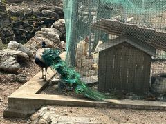 -丽泽山庄·生态怀柔菜·虹鳟鱼(红螺寺店)