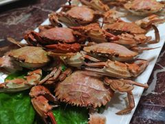 清蒸面包蟹-渔家颂歌渔家味道(青石路店)