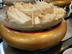 -龍歌自助小火锅(崂山丽达店)