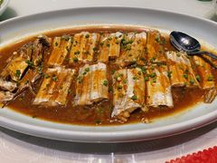 刀鱼-鹊华居·地道鲁菜·海鲜·融合味(大明湖店)