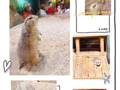 -天津zoonly动物主题公园