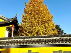 -上海青龙寺
