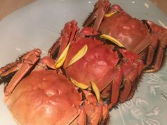 清蒸大闸蟹-成隆行·蟹王府(九江路店)